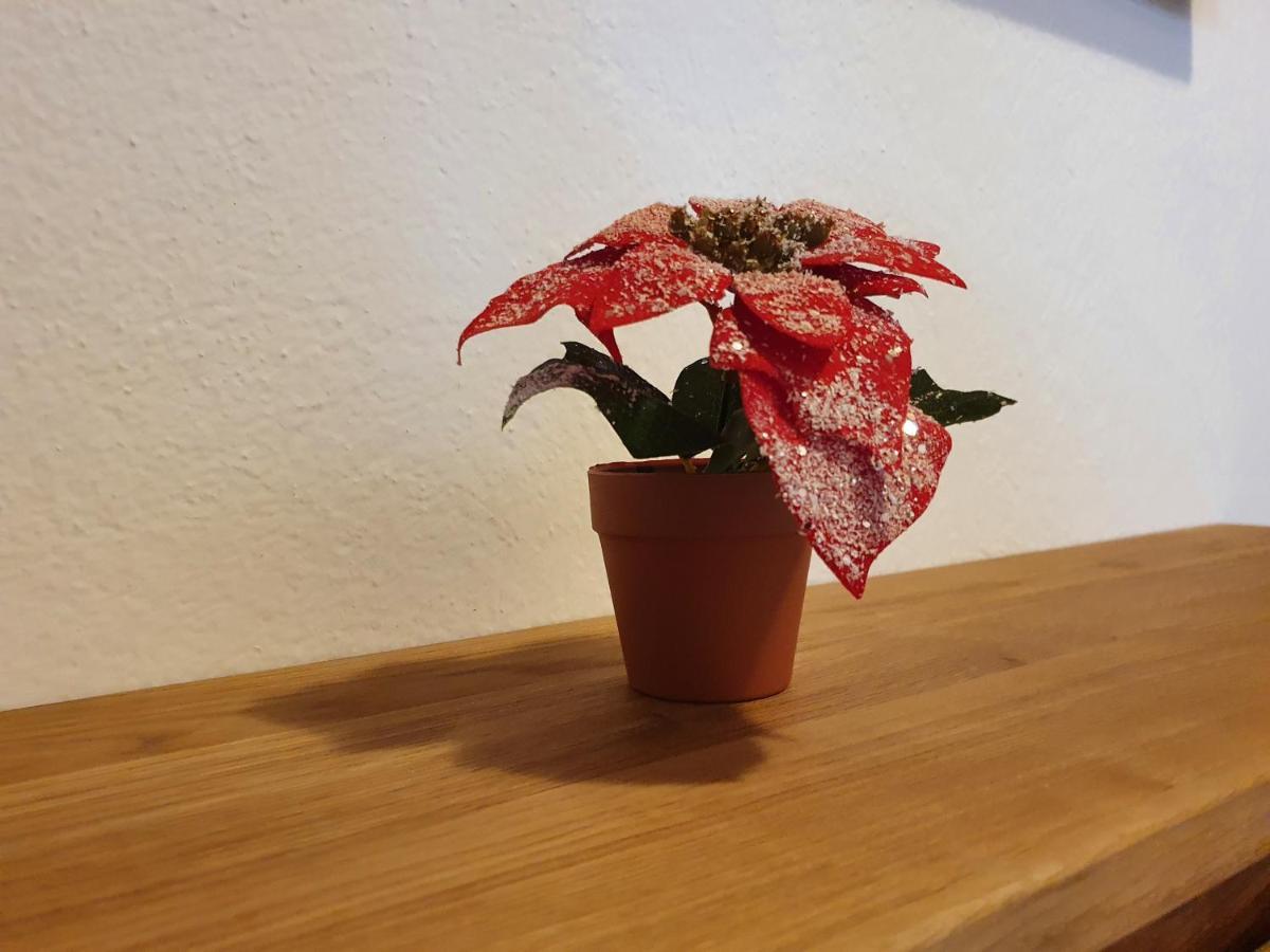 Ferienwohnung Kroell Zell am Ziller Dış mekan fotoğraf